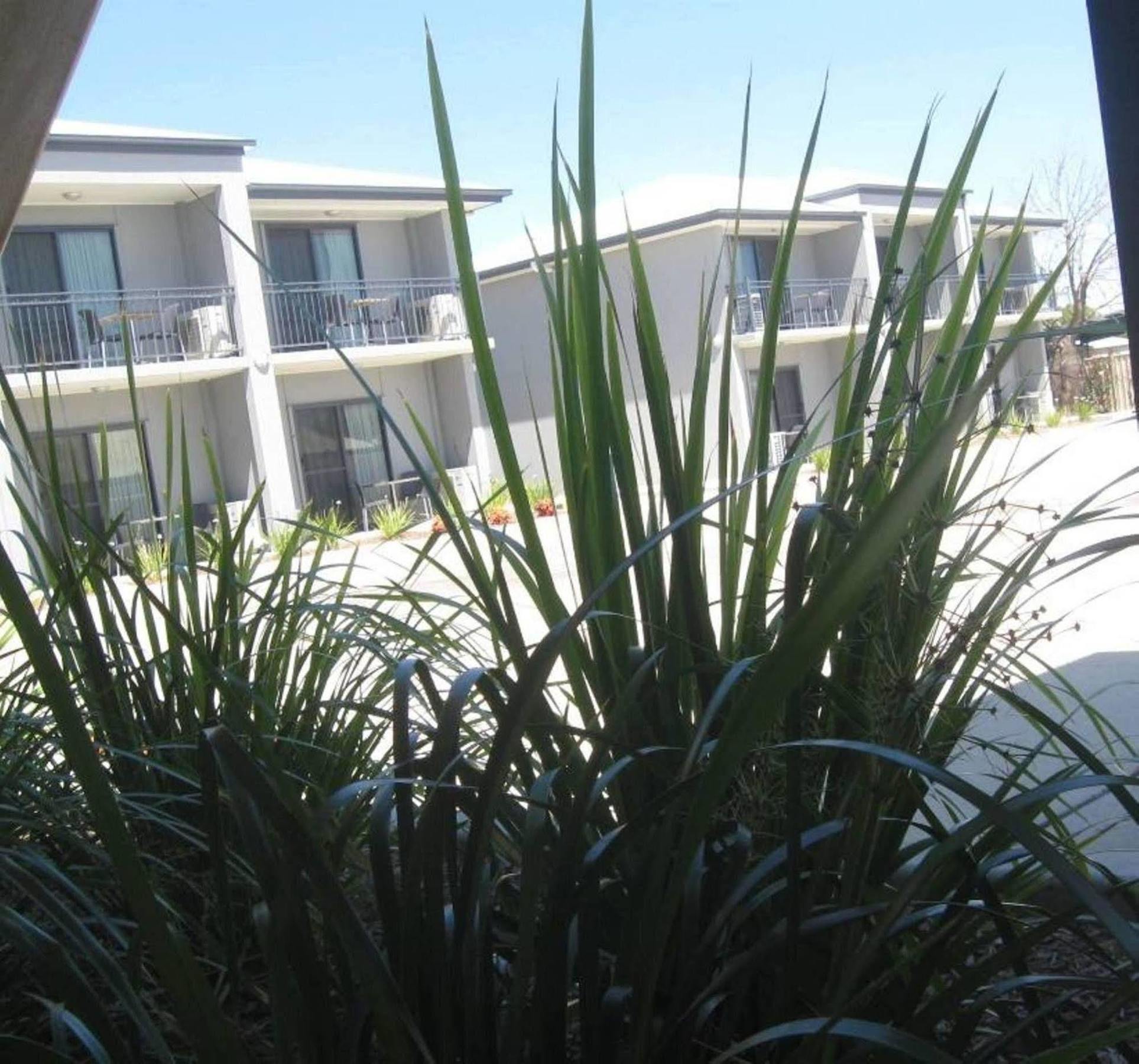 Royal Motel Miles Εξωτερικό φωτογραφία